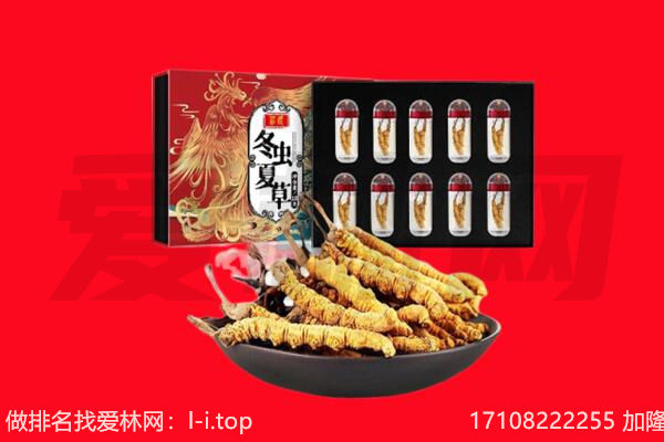 玉溪易门县回收虫草.jpg